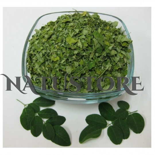 Hierba moringa planta medicinal - Moringa en hojas secas