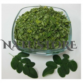 Hierba planta medicinal moringa